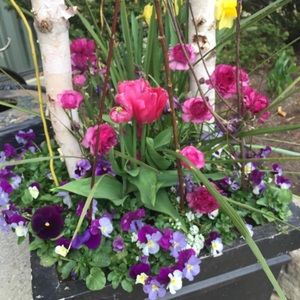 Meet your Posher, Tammy